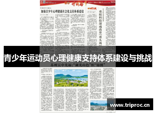 青少年运动员心理健康支持体系建设与挑战