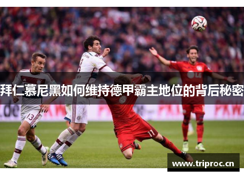 拜仁慕尼黑如何维持德甲霸主地位的背后秘密