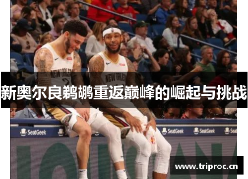新奥尔良鹈鹕重返巅峰的崛起与挑战