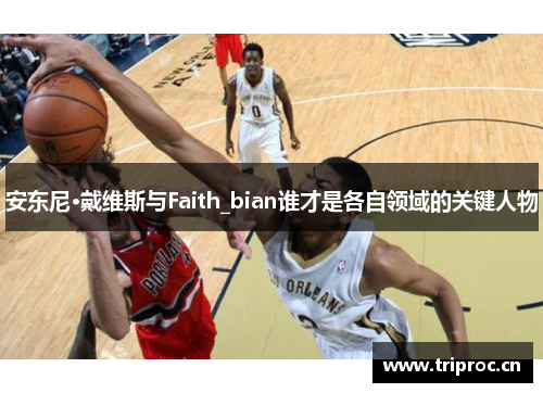 安东尼·戴维斯与Faith_bian谁才是各自领域的关键人物