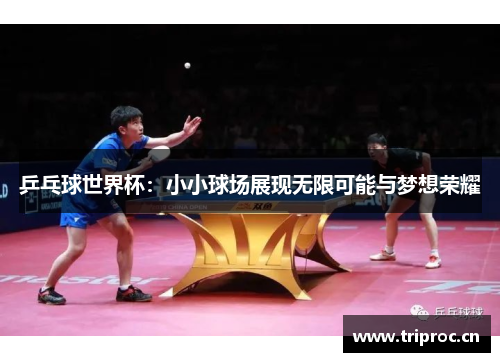 乒乓球世界杯：小小球场展现无限可能与梦想荣耀