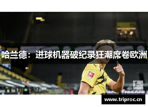 哈兰德：进球机器破纪录狂潮席卷欧洲