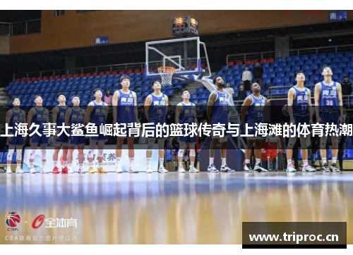 上海久事大鲨鱼崛起背后的篮球传奇与上海滩的体育热潮
