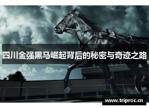 四川金强黑马崛起背后的秘密与奇迹之路