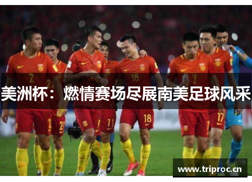 美洲杯：燃情赛场尽展南美足球风采
