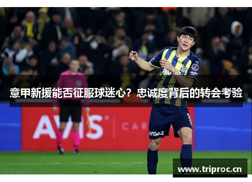 意甲新援能否征服球迷心？忠诚度背后的转会考验