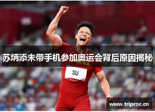 苏炳添未带手机参加奥运会背后原因揭秘